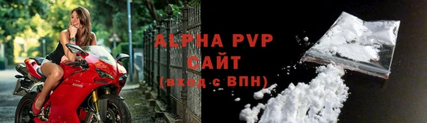 стаф Пересвет