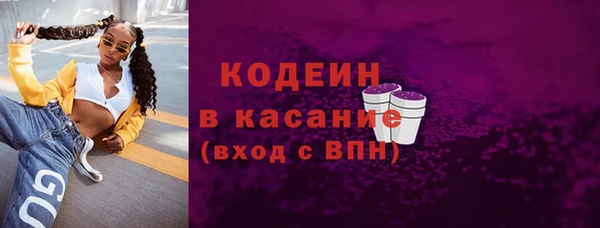 стаф Пересвет