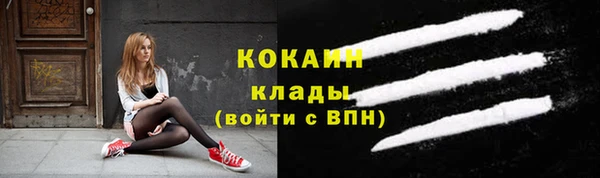 стаф Пересвет
