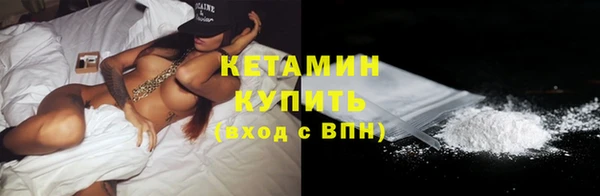 стаф Пересвет