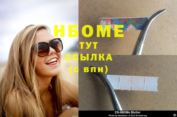 стаф Пересвет