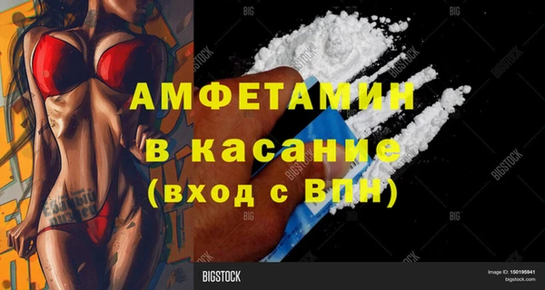 стаф Пересвет