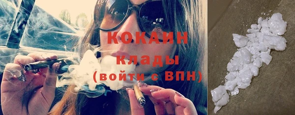 стаф Пересвет