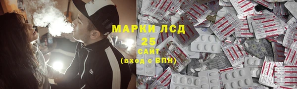 стаф Пересвет
