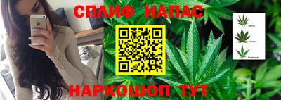 дмт Владикавказ