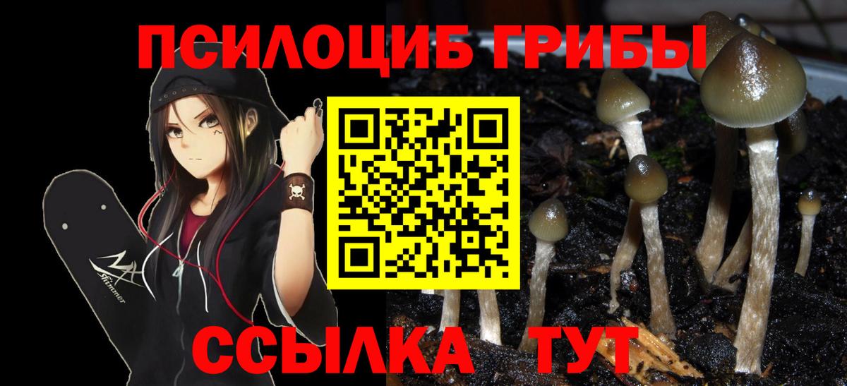 Галлюциногенные грибы ЛСД  Вход с VPN  Астрахань 